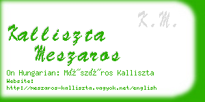 kalliszta meszaros business card